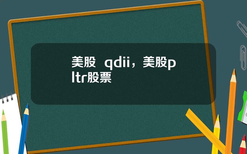 美股  qdii，美股pltr股票